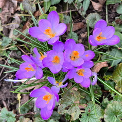 23-02-18 15-11-02 4266